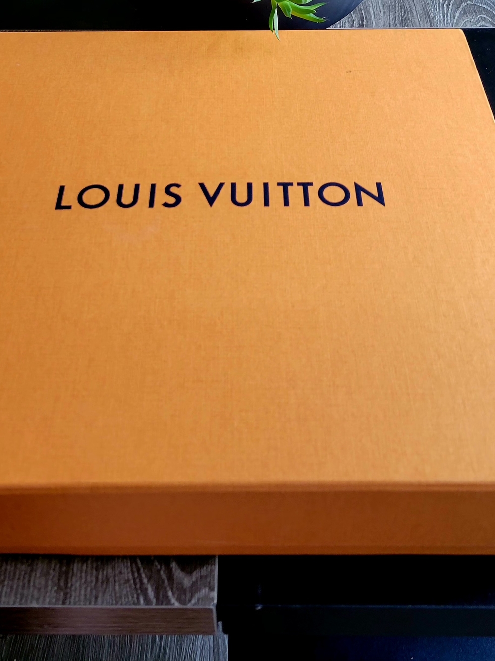 Louis Vuitton Orange Box with Navy BLACK Logo